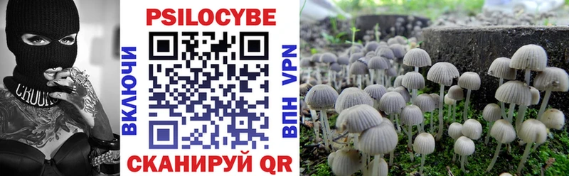 ОМГ ОМГ рабочий сайт  Шарья  Галлюциногенные грибы Magic Shrooms 